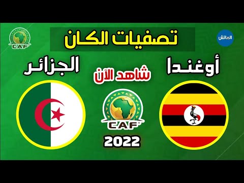 بث مباشر مباراة الجزائر و أوغندا | بث مباشر  Algeria vs Uganda